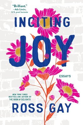bokomslag Inciting Joy