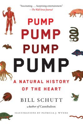 Bill Schutt - Pump: A Natural History of the Heart, Häftad