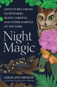 bokomslag Night Magic: Adventures Among Glowworms, Moon Gardens, and Other Marvels of the Dark