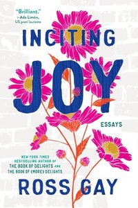 bokomslag Inciting Joy: Essays