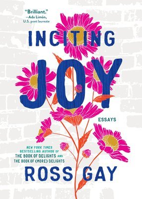 bokomslag Inciting Joy