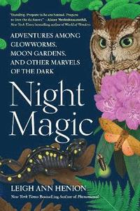 bokomslag Night Magic: Adventures Among Glowworms, Moon Gardens, and Other Marvels of the Dark