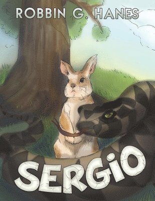 Sergio 1