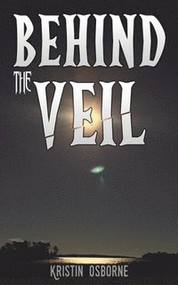 bokomslag Behind The Veil