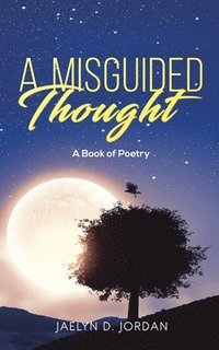 bokomslag Misguided Thought