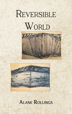 bokomslag Reversible World