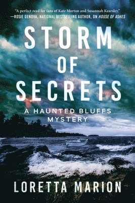 bokomslag Storm of Secrets