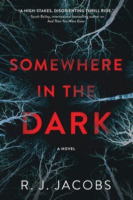 Somewhere in the Dark 1