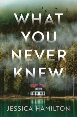 Jessica Hamilton - What You Never Knew, Inbunden