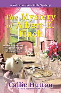 bokomslag The Mystery Of Albert E. Finch
