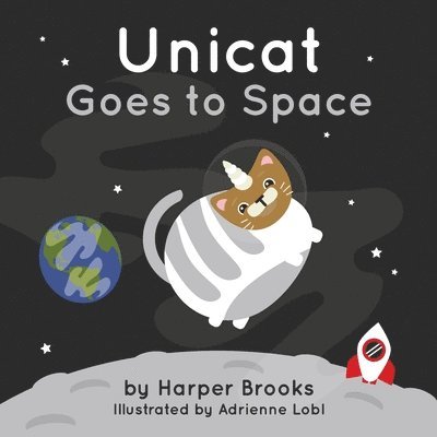 Unicat Goes to Space 1