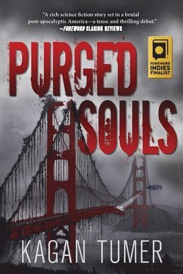 bokomslag Purged Souls