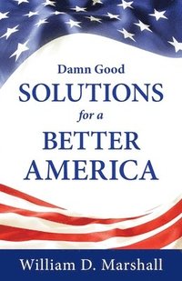 bokomslag Damn Good Solutions for a Better America