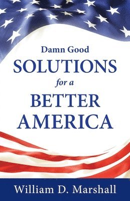 bokomslag Damn Good Solutions for a Better America