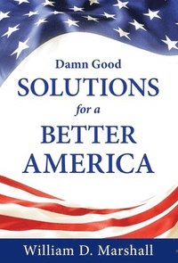 bokomslag Damn Good Solutions for a Better America