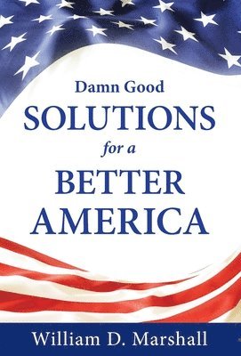 bokomslag Damn Good Solutions for a Better America