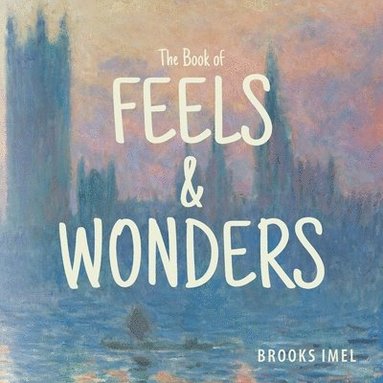 bokomslag Book of Feels & Wonders