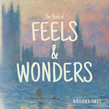 bokomslag The Book of Feels & Wonders