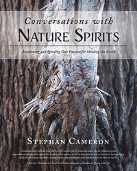 bokomslag Conversations with Nature Spirits
