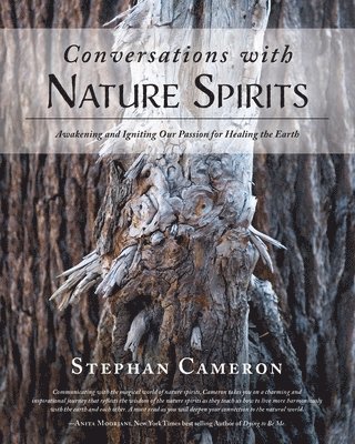 bokomslag Conversations with Nature Spirits