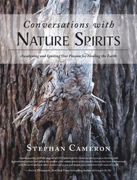 bokomslag Conversations with Nature Spirits