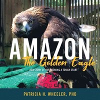 bokomslag Amazon, the Golden Eagle