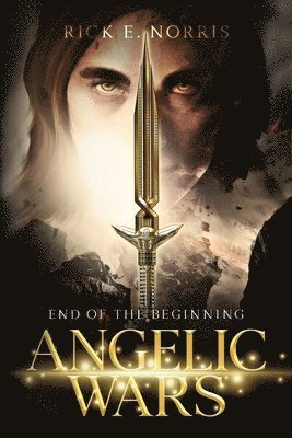 bokomslag Angelic Wars
