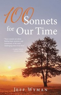 bokomslag 100 Sonnets for Our Time