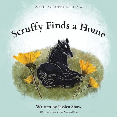 Scruffy Finds a Home