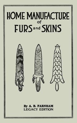 Home Manufacture Of Furs And Skins (Legacy Edition) 1