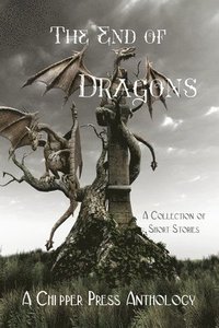 bokomslag The End of Dragons