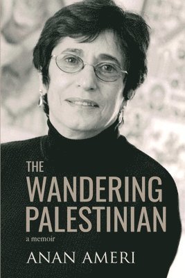 bokomslag Wandering Palestinian