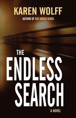 bokomslag Endless Search