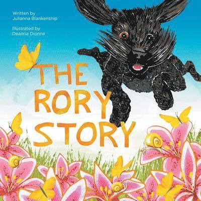 Rory Story 1