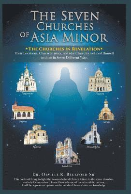 bokomslag Seven Churches of Asia Minor