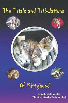bokomslag Trials and Tribulations of Kittyhood