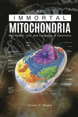 The Immortal Mitochondria 1