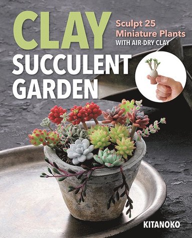 bokomslag Clay Succulent Garden