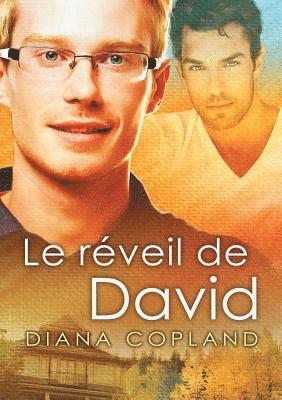 bokomslag Le Rveil de David (Translation)