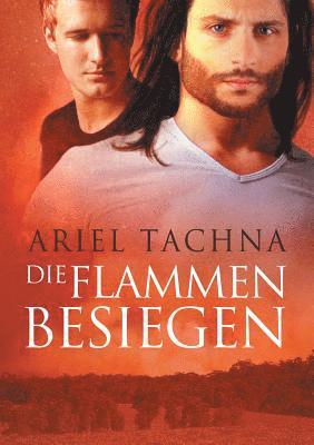 bokomslag Flammen besiegen (Translation)