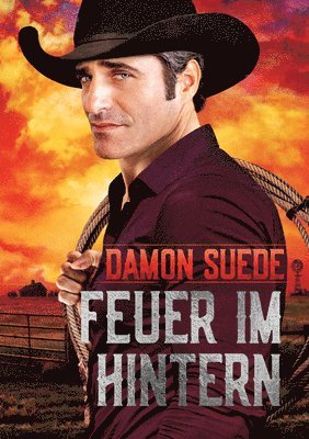 Damon Suede - Feuer im Hintern, Häftad