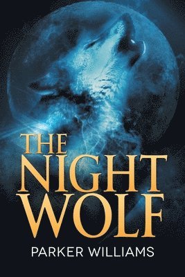 bokomslag Night Wolf