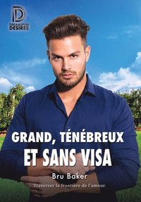 bokomslag Grand, tenebreux et sans visa