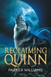 bokomslag Reclaiming Quinn