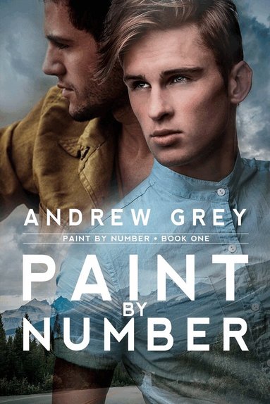 Andrew Grey - Paint by Number, Häftad