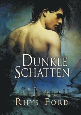 Rhys Ford - Dunkle Schatten, Häftad