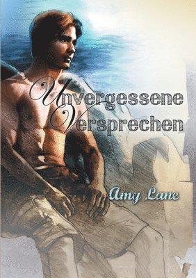 Amy Lane - Unvergessene Versprechen, Häftad
