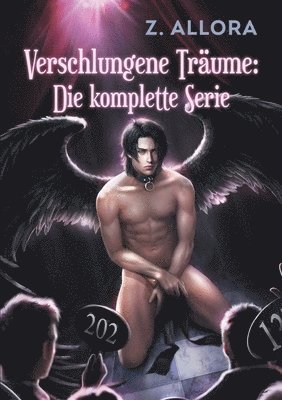 Verschlungene Trume: Die komplette Serie 1