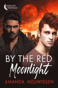 bokomslag By the Red Moonlight