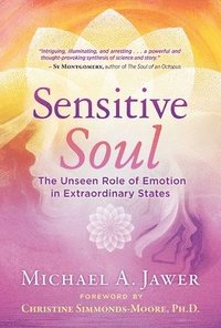 bokomslag Sensitive Soul